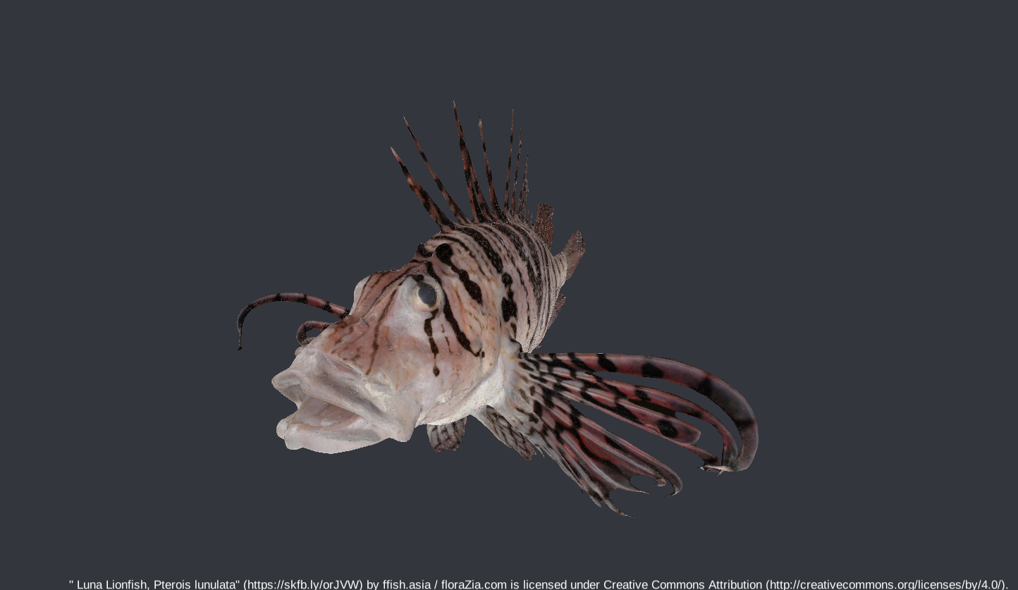 20240609_luna_lionfish_pterois_lunulata